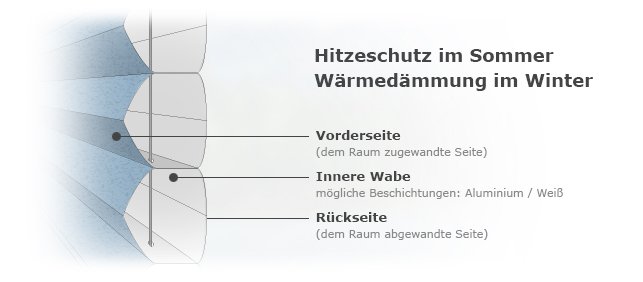 Structure alvéolaire d'un store plissé